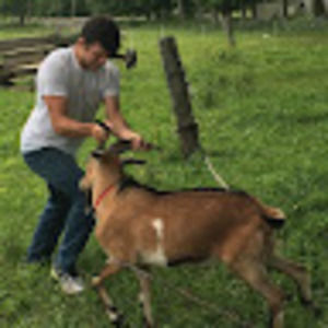 Meet your Posher, Colin